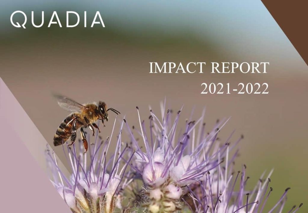 Image-Impact-Report-2021-2022